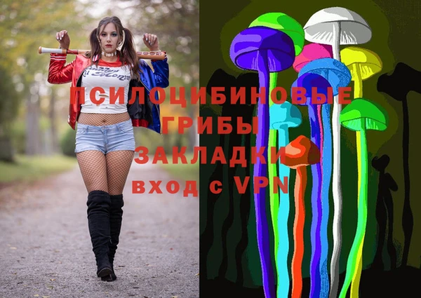 дмт Вяземский